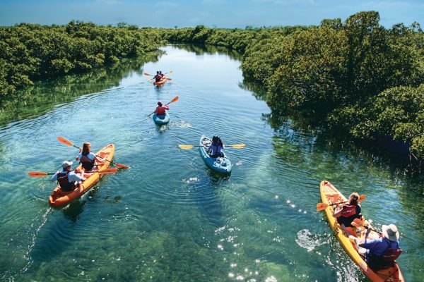 Kayaks